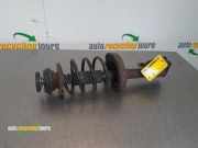 Federbein links vorne Renault Clio II B 8200662265