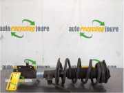 Federbein links vorne Nissan Qashqai J10 XXXXX