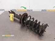 Federbein rechts hinten Hyundai Coupe GK 553602C250