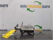 Kühler für Abgasrückführung Ford Kuga III DFK LX6E9F464AD