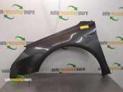 Kotflügel links vorne Citroen C5 III Break RW 7840V6