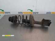 Federbein links vorne Renault Clio II B 7700428602