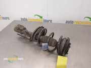 Federbein rechts vorne Renault Clio III BR0/1, CR0/1 XXXXX