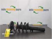 Federbein rechts vorne BMW X3 F25 31316796316