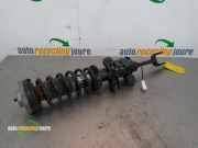 Federbein links vorne BMW 5er Touring F11 37116796855