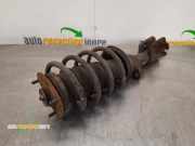 Federbein links vorne Land Rover Freelander 1 L314 RSC000050