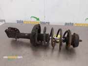 Federbein links vorne Renault Clio II B 8660005851