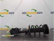 Federbein links vorne Ford Kuga III DFK LX6118K001EME