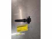 Zündspule Ford Kuga III DFK LX6E12A375BA