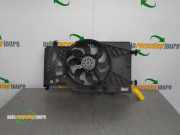 Elektrolüfter Opel Meriva B R3455004