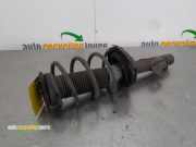 Federbein links vorne Ford Focus II DA, DP, HCP 4M5118K001PBD