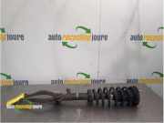 Federbein rechts vorne Mazda 6 Sport Kombi GH XXXXX