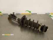 Federbein rechts vorne Honda Jazz III GE 51610TH5E221M1