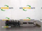 Federbein links vorne Mercedes-Benz E-Klasse W211 A2113231500