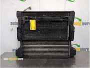 Kühlpaket BMW X3 E83 17517793370