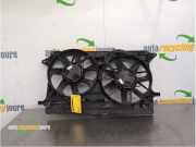 Elektrolüfter Opel Ampera D1JOI 20842242