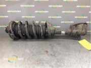 Federbein links hinten Land Rover Freelander 1 L314 22103901