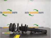 Federbein links vorne BMW 3er Touring E91 31316786009