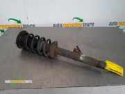 Federbein links vorne Lexus IS 2 E2 4852059395