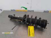 Federbein links vorne Ford Fiesta V JH, JD 2S6118K001AG
