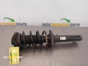 Federbein links vorne VW Passat B7 Variant 365 3AA413031M
