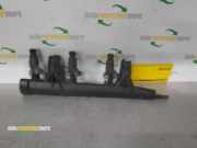 Abstellvorrichtung für Einspritzanlage Citroen C3 II SC 9676020480