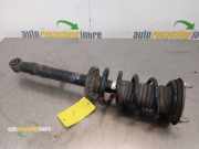 Federbein rechts vorne Lexus GS 3 S19 4851080301