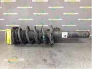 Federbein rechts vorne VW Passat B6 Variant 3C5 3C0413031N