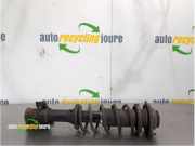 Federbein rechts vorne Suzuki Alto VI FF XXXXX