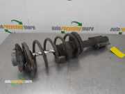 Federbein rechts vorne Peugeot Boxer Kasten 244 5208G8