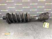 Federbein rechts hinten Land Rover Freelander 1 L314 22103900