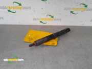 Einspritzdüse Renault Kangoo II Rapid FW0 0110AB22W07