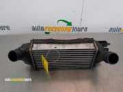 Ladeluftkühler Ford B-Max JK C1B19L440AC