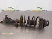 Federbein rechts vorne Fiat Panda 169 XXXXX