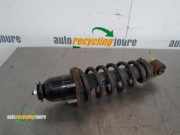 Federbein rechts hinten Toyota Avensis Kombi T25 XXXXX