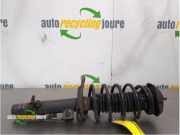 Federbein links vorne Peugeot 207 520857