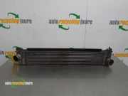 Ladeluftkühler Peugeot Boxer Kasten 0384K1
