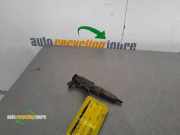 Einspritzdüse Citroen Berlingo II Kasten B9 0445110566