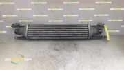 Ladeluftkühler Opel Corsa D S07 55702194