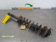 Federbein links hinten Toyota Starlet P8 XXXXX