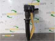 Zündspule Land Rover Range Rover IV L405 LR035548
