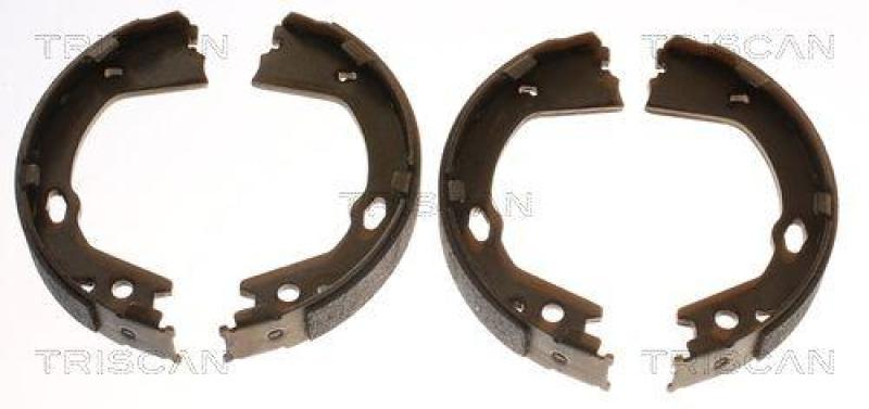 TRISCAN 8100 43030 Bremsbacken, Feststellbremse