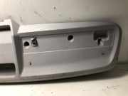 Verkleidung Himmel VOOR Fiat Ducato (250) Van 2.3 D 120 Multijet (F1AE0481D)