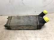 Ladeluftkühler 00000384L9 Citroën Berlingo (7A/7B/GB/GF/GG/GJ/GK/GN) Van 1.6 Hdi 16V 75 (DV6TED4(9HT))