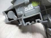 Kennzeichenbeleuchtung RECHTS 8155502300 Toyota Corolla (E12) Schrägheck 1.6 16V VVT-i (3ZZFE)