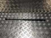 Gasdruckfeder Hinten 51833625 Lancia Ypsilon (312) Schr?gheck 1.2 (169.A.4000)