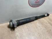 Stoßdämpfer Links Hinten 2Q0513049CE Volkswagen T-Cross SUV 1.0 TSI 95 12V (DLAC) DLAC