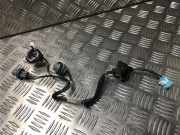 Kennzeichenbeleuchtung RECHTS Honda CR-Z (ZF1) Coupé 1.5 GT 16V (LEA3)