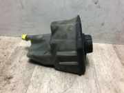 Ausgleichbehälter 217102781R Renault Megane IV (RFBB) Schrägheck 5-drs 1.3 TCe 140 16V (H5H-470(H5H-B4))