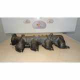 Ansaugkrümmer 00000361H5 Citroën Xsara (N1) Schrägheck 2.0 HDi 90 (DW10TD(RHY)) 2000